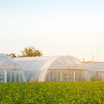 Agriculture Industry